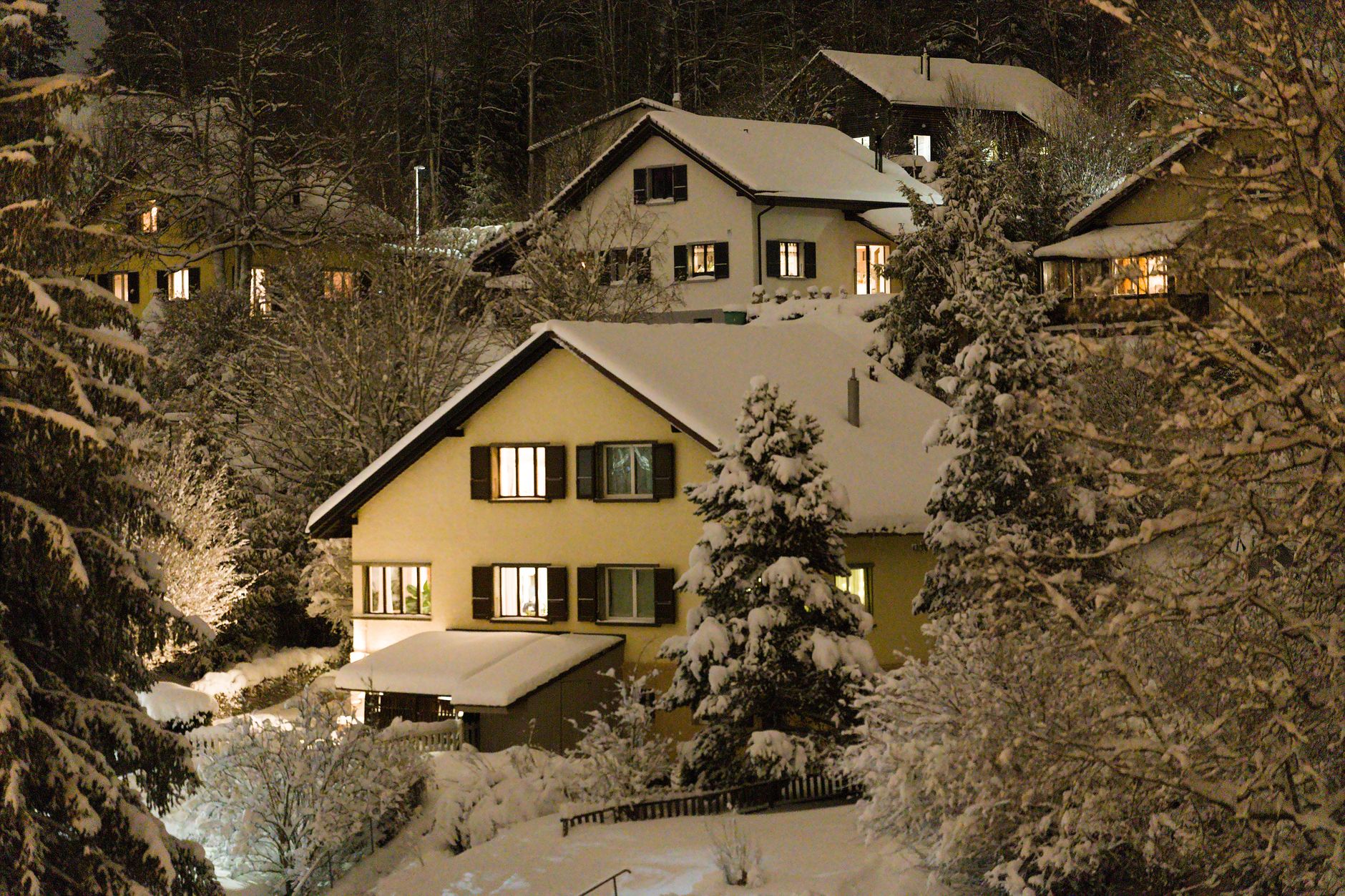 Holiday Lighting